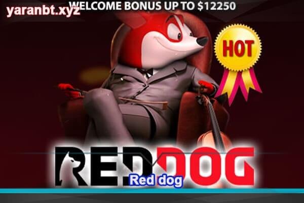 سایت کازینو Red dog